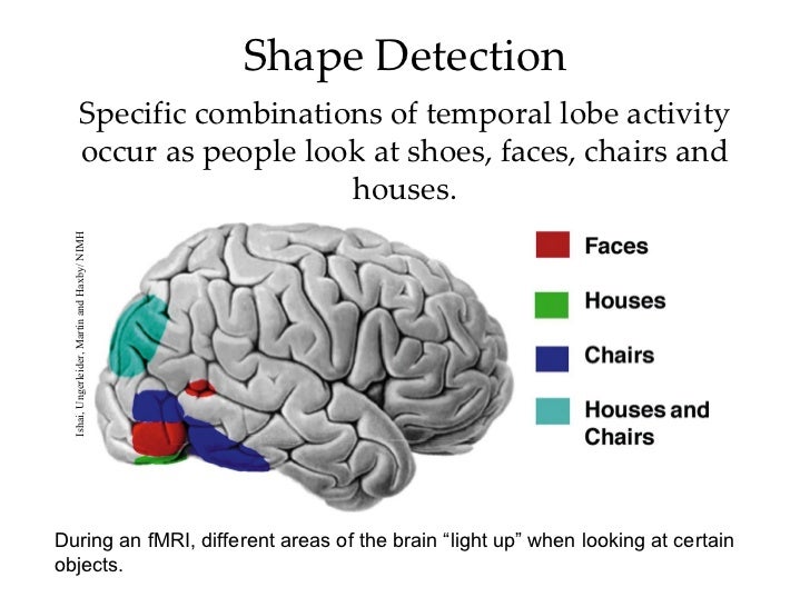 Mod 14 Basic Concepts and Vision