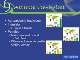 Aspectos Econômicos Agropecuária tradicional Indústria  (Turquia e Israel) Petróleo Maior reserva do mundo Golfo Pérsico Diferentes formas de gestão OPEP / OPAEP 
