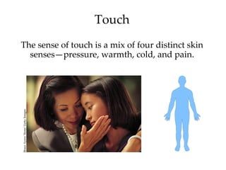 Touch
The sense of touch is a mix of four distinct skin
  senses—pressure, warmth, cold, and pain.
Bruce Ayers/ Stone/ Getty Images
 