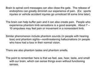 Brain to spinal cord messages can also close the gate. The release of
   endorphins can greatly diminish our experience of pain. (Ex: sports
   injuries or vehicle accident injuries go unnoticed till some time later).

The brain can help buffer pain and it can also create pain. People who
  experience phantom limb sensations is a good example. About 7 –
  10 amputees may feel pain or movement in a nonexistent limb.

Similar phenomenon include phantom sounds (in people with hearing
   loss) and phantom sights—nonthreatening hallucinations (in people
   who have had a loss in their normal vision.

There are also phantom tastes and phantom smells.

The point to remember here is that we feel, see, hear, taste, and smell
  with our brain, which can sense things even without functioning
  senses.
 