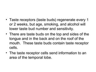 • Taste receptors (taste buds) regenerate every 1
  or 2 weeks, but age, smoking, and alcohol will
  lower taste bud number and sensitivity.
• There are taste buds on the top and sides of the
  tongue and in the back and on the roof of the
  mouth. These taste buds contain taste receptor
  cells.
• The taste receptor cells send information to an
  area of the temporal lobe.
 