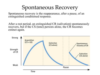 Spontaneous Recovery
Spontaneous recovery is the reappearance, after a pause, of an
extinguished conditioned response.

After a rest period, an extinguished CR (salivation) spontaneously
recovers, but if the CS (tone) persists alone, the CR becomes
extinct again.
 