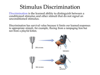 Stimulus Discrimination
Discrimination is the learned ability to distinguish between a
conditioned stimulus and other stimuli that do not signal an
unconditioned stimulus.

Discrimination has survival value because it limits our learned responses
to appropriate stimuli, for example, fleeing from a rampaging lion but
not from a playful kitten.
 
