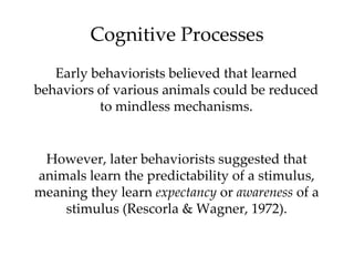 Cognitive Processes
   Early behaviorists believed that learned
behaviors of various animals could be reduced
          to mindless mechanisms.


 However, later behaviorists suggested that
animals learn the predictability of a stimulus,
meaning they learn expectancy or awareness of a
    stimulus (Rescorla & Wagner, 1972).
 