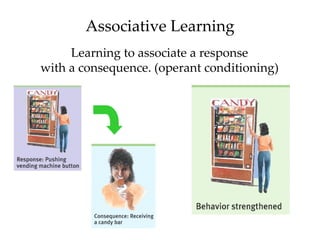 Associative Learning
     Learning to associate a response
with a consequence. (operant conditioning)
 