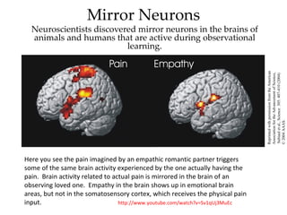 Mirror Neurons
  Neuroscientists discovered mirror neurons in the brains of
  animals and humans that are active during observational
                          learning.




                                                                               Reprinted with permission from the American
                                                                               Association for the Advancement of Science,
                                                                               Subiaul et al., Science 305: 407-410 (2004)
                                                                               © 2004 AAAS.
Here you see the pain imagined by an empathic romantic partner triggers
some of the same brain activity experienced by the one actually having the
pain. Brain activity related to actual pain is mirrored in the brain of an
observing loved one. Empathy in the brain shows up in emotional brain
areas, but not in the somatosensory cortex, which receives the physical pain
input.                            http://www.youtube.com/watch?v=Sv1qUj3MuEc
 