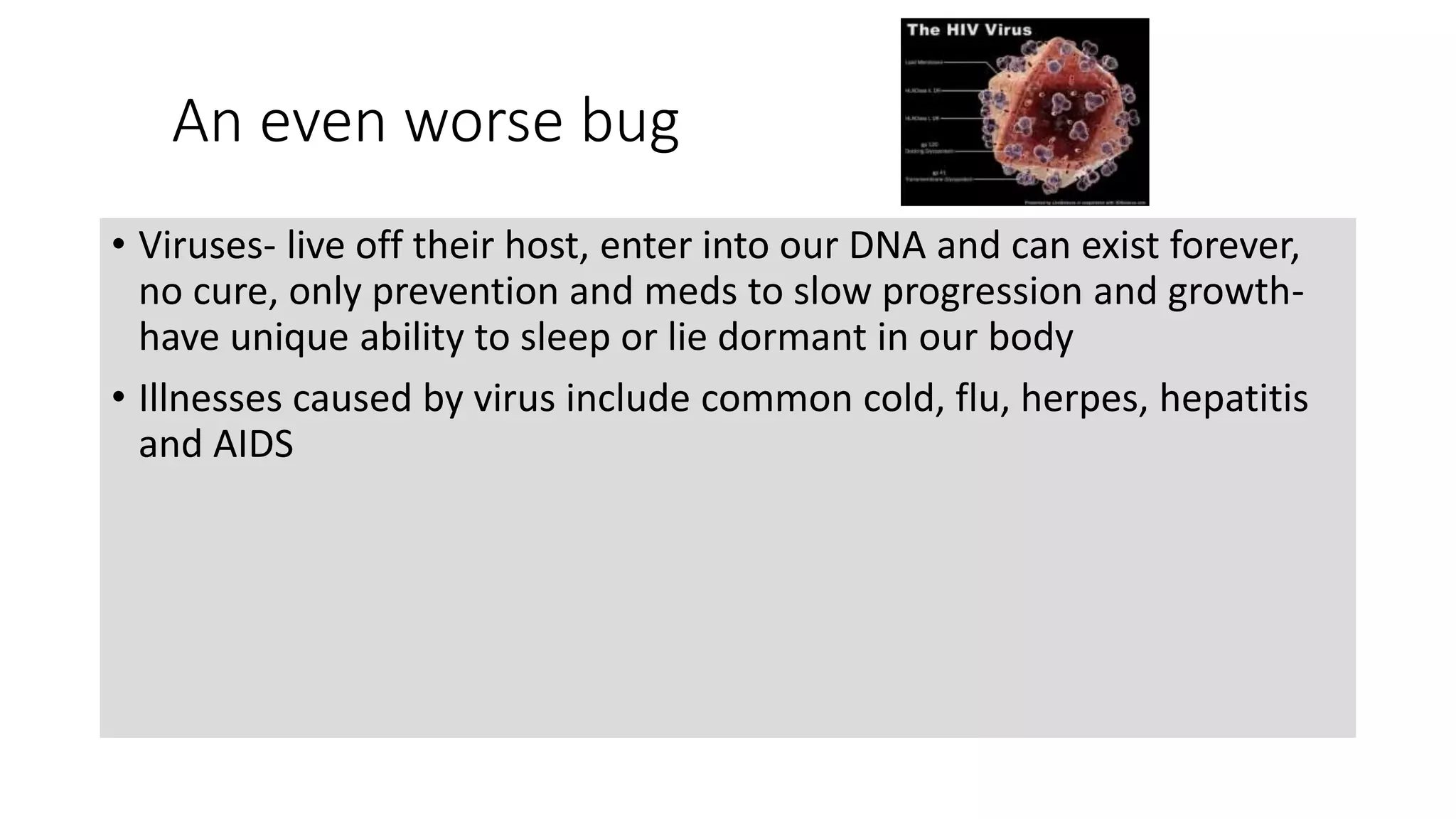 An even worse bug
• Viruses- live off their host, enter into our DNA and can exist forever,
no cure, only prevention and meds to slow progression and growth-
have unique ability to sleep or lie dormant in our body
• Illnesses caused by virus include common cold, flu, herpes, hepatitis
and AIDS
 