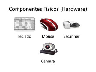 Componentes Físicos (Hardware)

Teclado

Mouse

Camara

Escanner

 