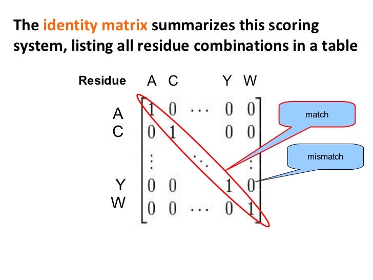 Matching Simularities Basic Concepts Of Sequence Similarity – GMBX