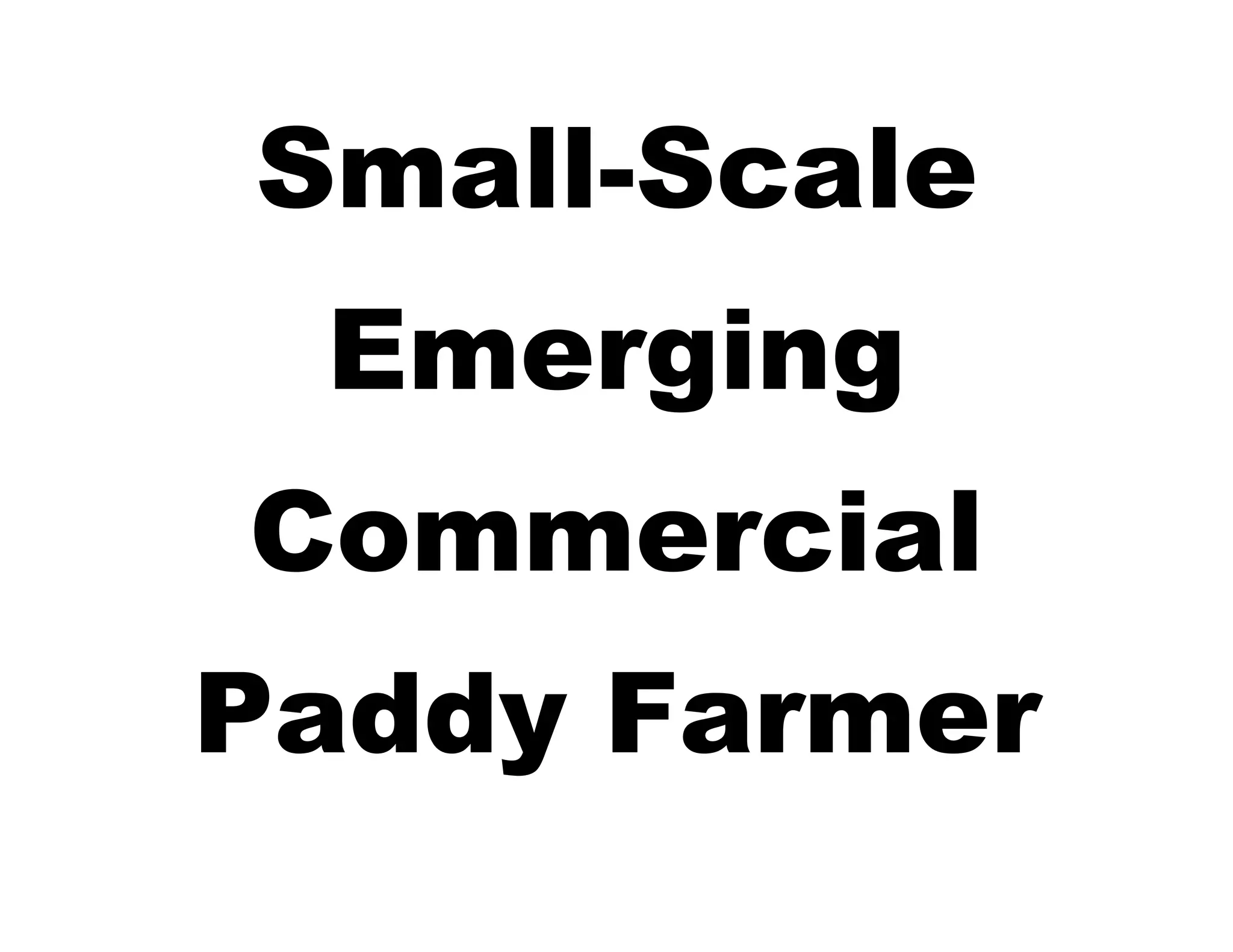 Small-Scale
Emerging
Commercial
Paddy Farmer

 