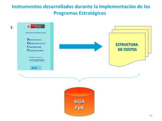 Instrumentos desarrollados durante la Implementación de los Programas Estratégicos  ESTRUCTURA  DE COSTOS SIGA PpR 3 2010 