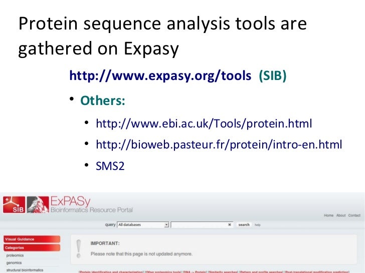 calculate pi and molecular weight with protein sequence