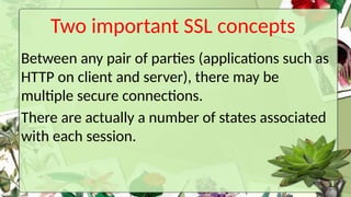 Comprehensive Overview of Network Layer and Web Security Protocols ...