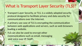 Tls Internet Comprehensive Overview of Network Layer and Web Security Protocols ...
