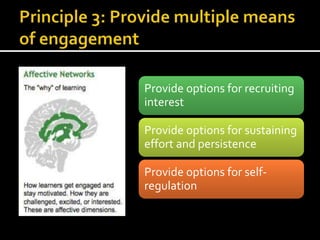Provide options for recruiting
interest
Provide options for sustaining
effort and persistence
Provide options for self-
regulation
 