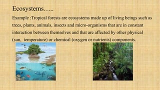 Environmental management MOD 3 Concepts of Ecosystems.pptx