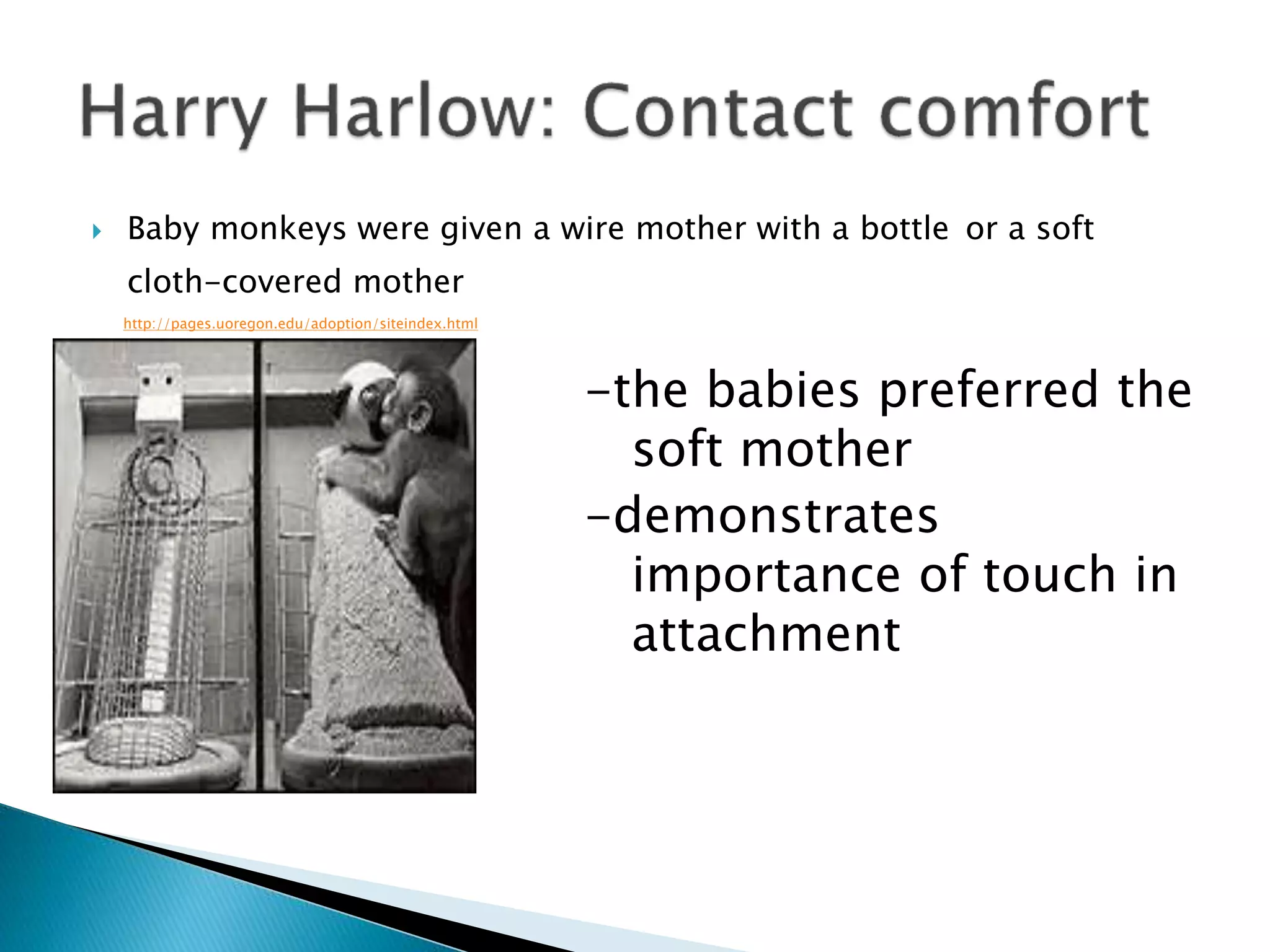 Baby monkeys were given a wire mother with a bottle or a soft
cloth-covered mother
http://pages.uoregon.edu/adoption/siteindex.html
-the babies preferred the
soft mother
-demonstrates
importance of touch in
attachment
 
