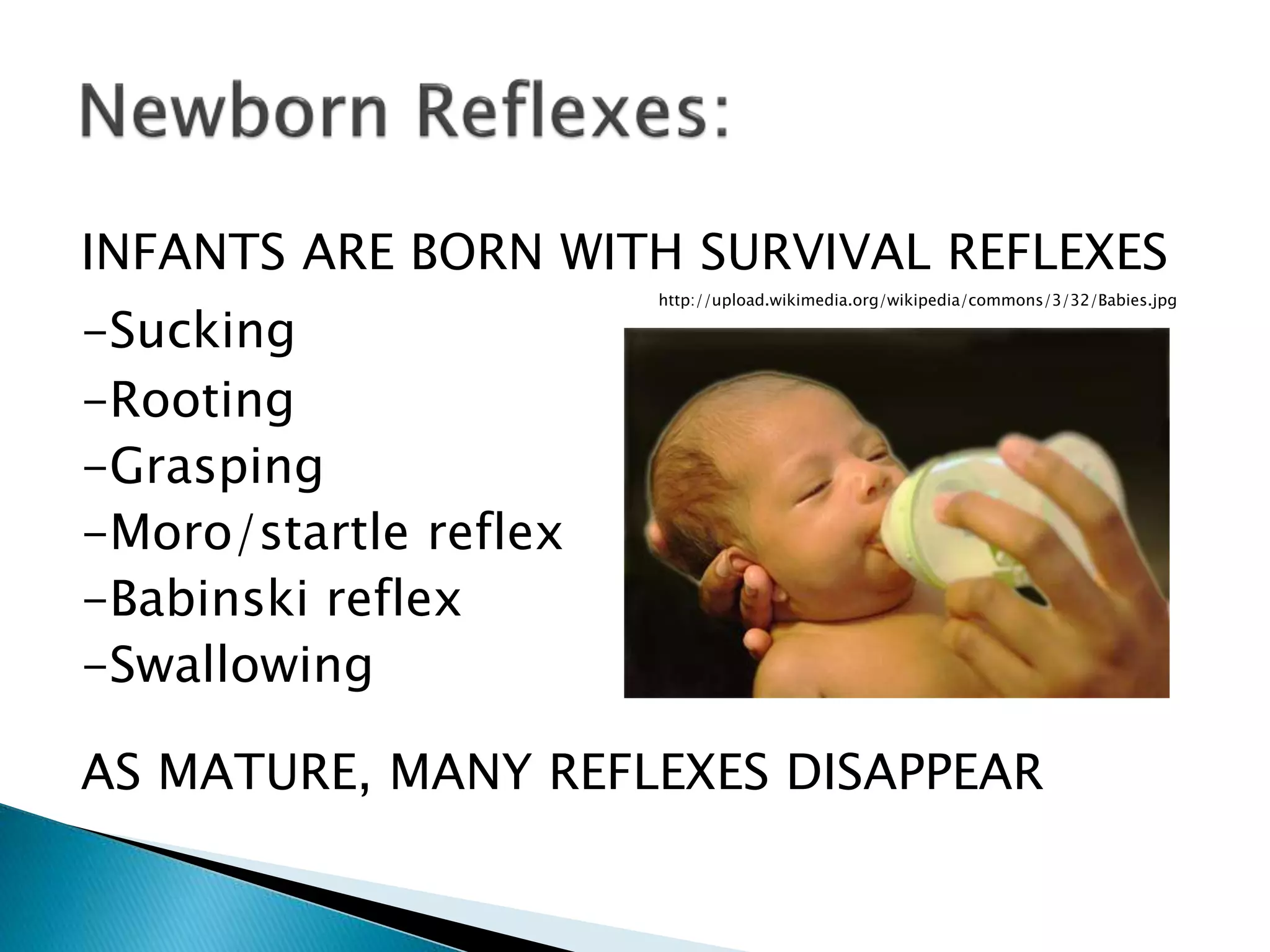 INFANTS ARE BORN WITH SURVIVAL REFLEXES
-Sucking
-Rooting
-Grasping
-Moro/startle reflex
-Babinski reflex
-Swallowing
AS MATURE, MANY REFLEXES DISAPPEAR
http://upload.wikimedia.org/wikipedia/commons/3/32/Babies.jpg
 
