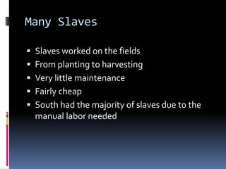 Many Slaves 
 Slaves worked on the fields 
 From planting to harvesting 
 Very little maintenance 
 Fairly cheap 
 South had the majority of slaves due to the 
manual labor needed 
 