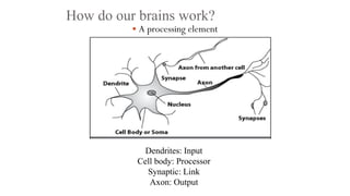 How do our brains work?
 A processing element
Dendrites: Input
Cell body: Processor
Synaptic: Link
Axon: Output
 