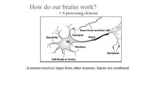 How do our brains work?
 A processing element
A neuron receives input from other neurons. Inputs are combined.
 