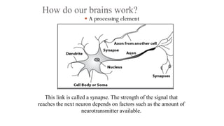 How do our brains work?
 A processing element
This link is called a synapse. The strength of the signal that
reaches the next neuron depends on factors such as the amount of
neurotransmitter available.
 