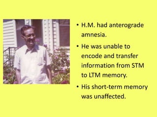 Mod 3 types of ltm slides | PPTX