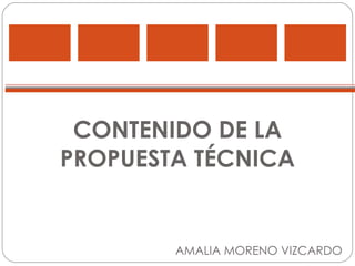 CONTENIDO DE LA PROPUESTA TÉCNICA AMALIA MORENO VIZCARDO 