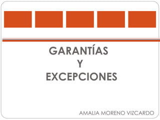 GARANTÍAS  Y  EXCEPCIONES AMALIA MORENO VIZCARDO 