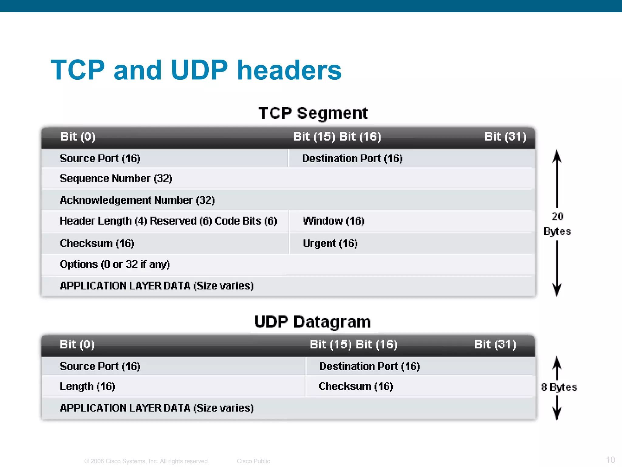 TCP and UDP headers 
