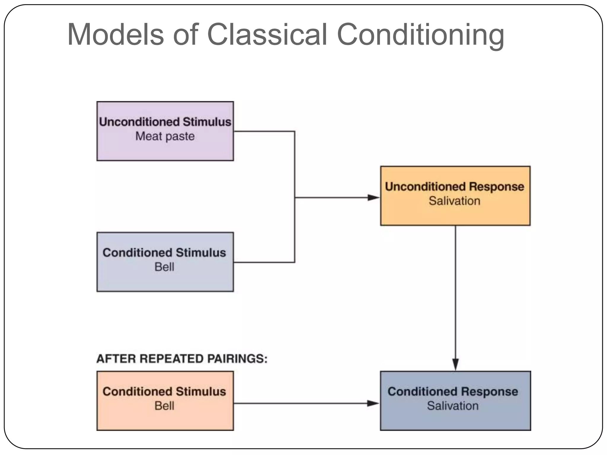Models of Classical Conditioning

 