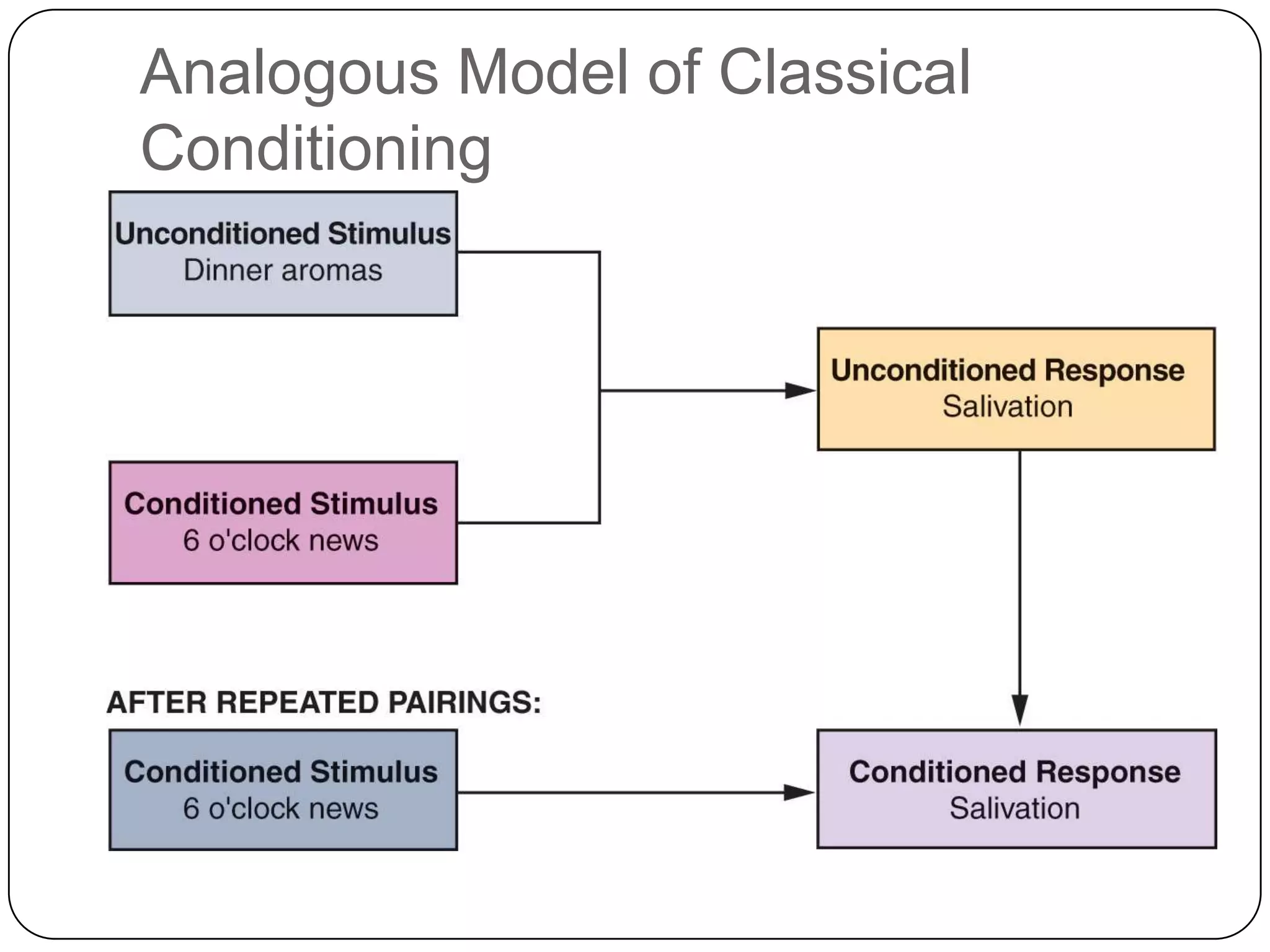 Analogous Model of Classical
Conditioning

 