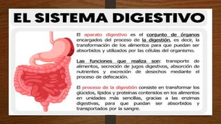 MOD4_HIPOGLUCEMIA, DISLIPIDEMIA SEM 2.pptx