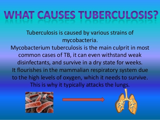 Tuberculosis ppt 2021 image