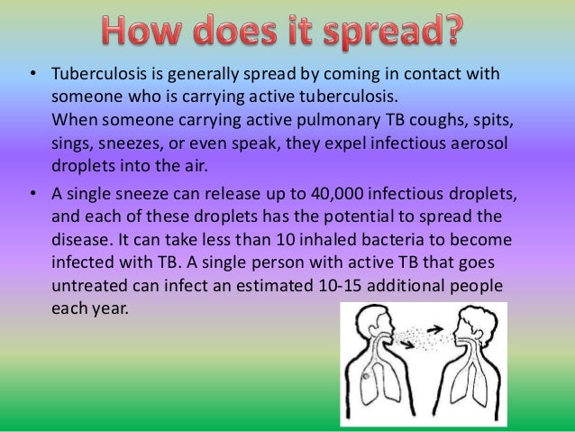 Tb powerpoint education image