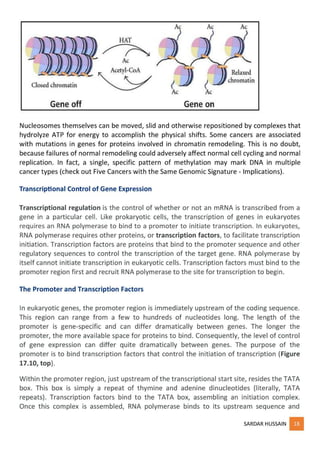 regulation of gene expression - part 1 | PDF | Free Download