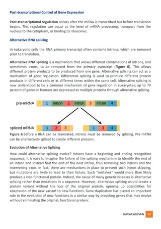 regulation of gene expression - part 1 | PDF
