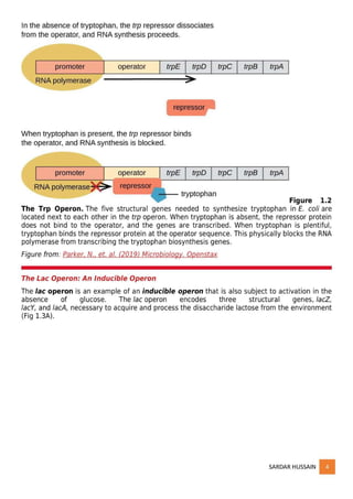 regulation of gene expression - part 1 | PDF