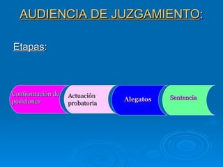AUDIENCIA DE JUZGAMIENTO : Etapas : Confrontación   de posiciones Actuación probatoria Alegatos Sentencia 
