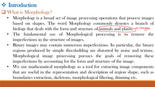 Morphological Image Processing and Image Segmentation.pdf