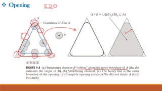 Morphological Image Processing and Image Segmentation.pdf