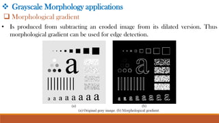 Morphological Image Processing and Image Segmentation.pdf