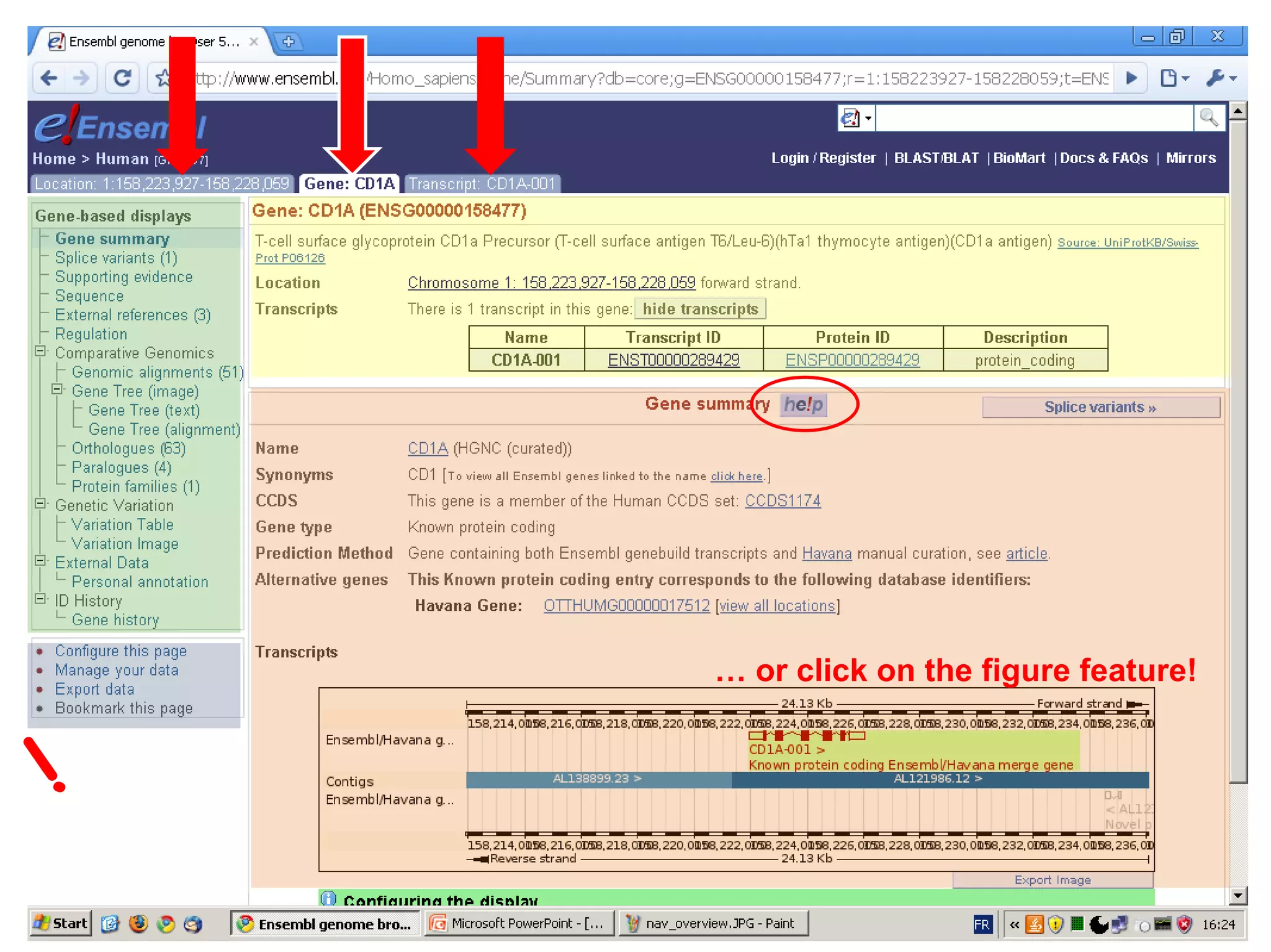 [email_address] /10 ! …  or click on the figure feature! 