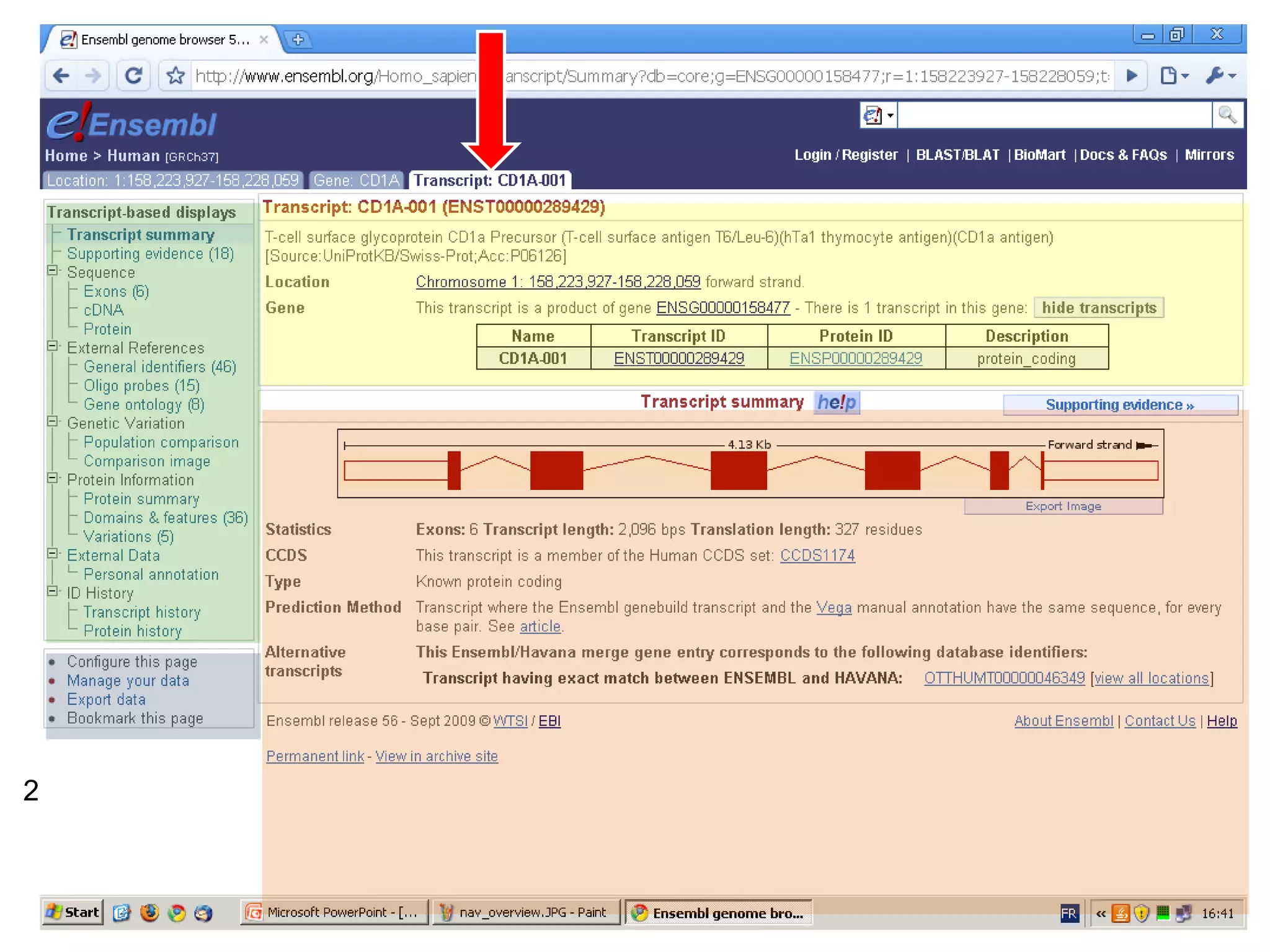 28 November 2009 [email_address] /10 