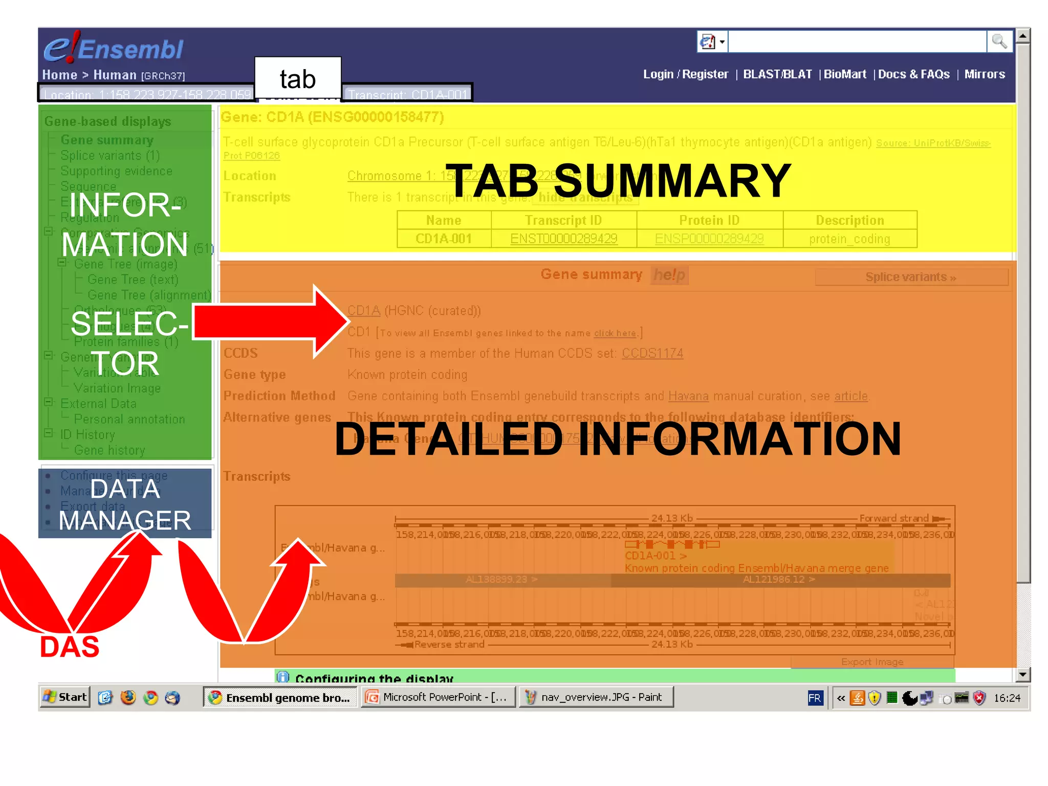 TAB SUMMARY DETAILED INFORMATION INFOR-MATION SELEC-TOR DATA MANAGER tab DAS 