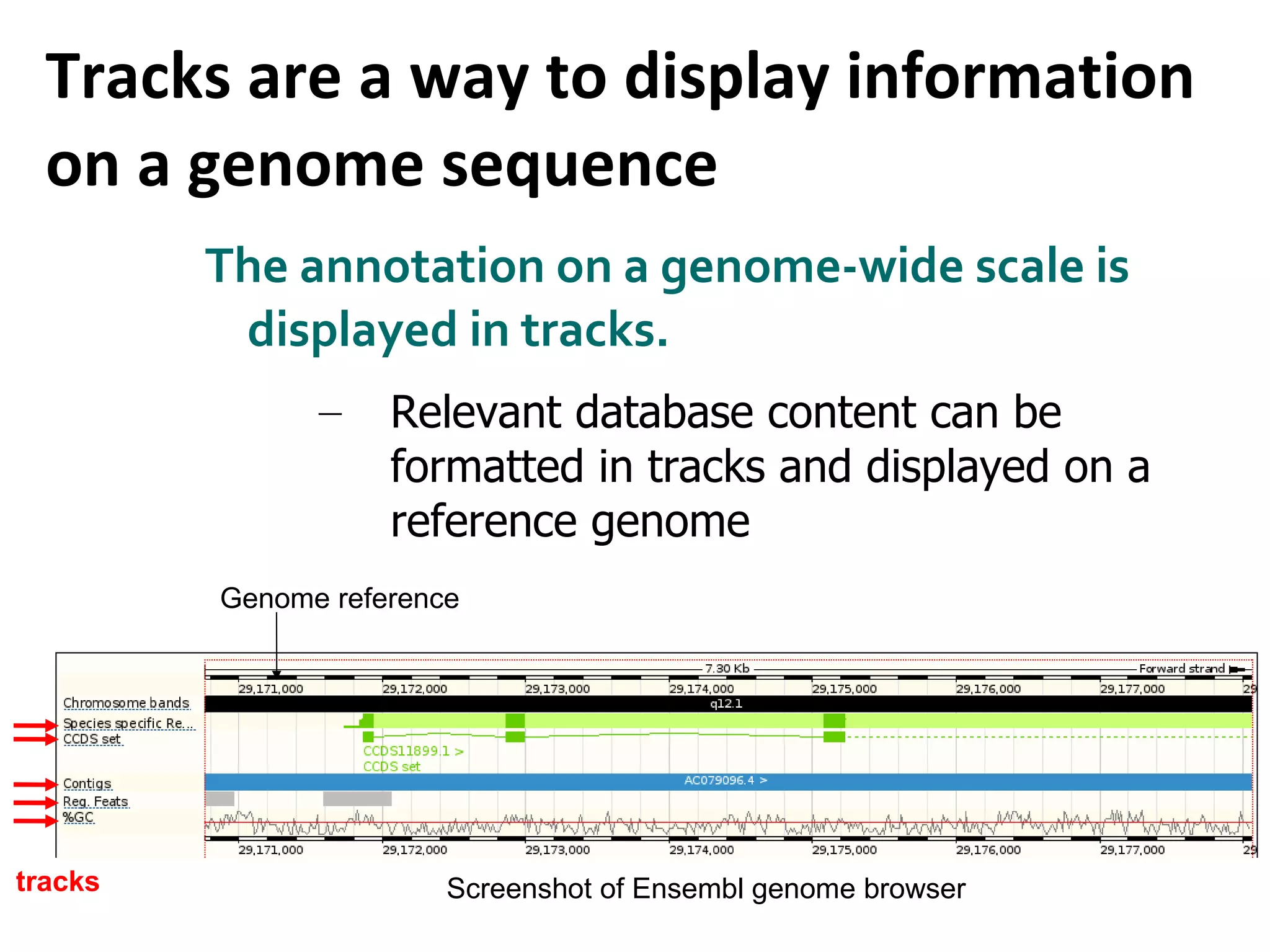 Tracks are a way to display information on a genome sequence The annotation on a genome-wide scale is displayed in tracks.  Relevant database content can be formatted in tracks and displayed on a reference genome Genome reference tracks Screenshot of Ensembl genome browser 