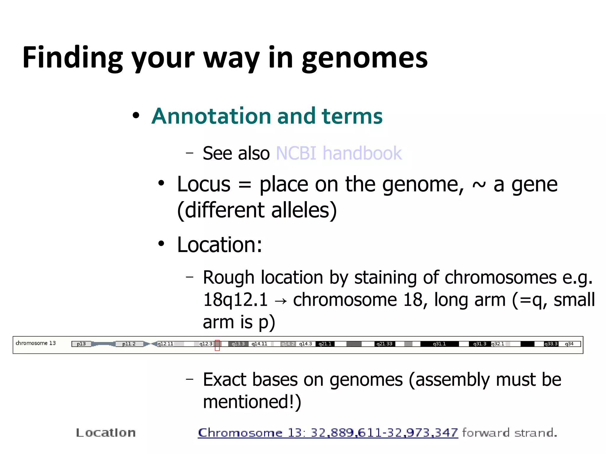Finding your way in genomes Annotation and terms See also  NCBI handbook Locus = place on the genome, ~ a gene (different alleles) Location: Rough location by staining of chromosomes e.g. 18q12.1 -> chromosome 18, long arm (=q, small arm is p) Exact bases on genomes (assembly must be mentioned!)  