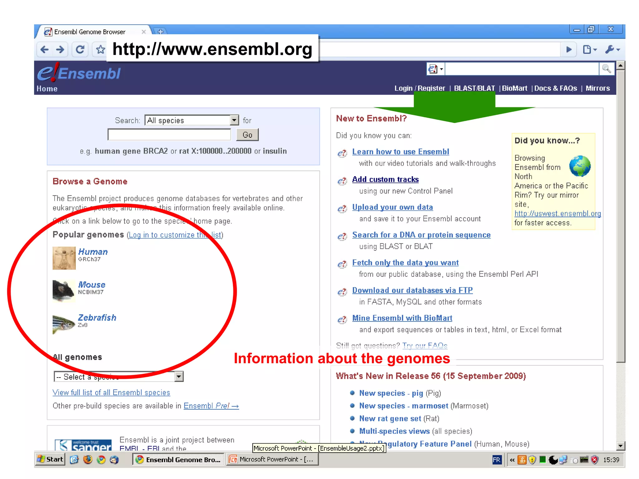 28 November 2009 [email_address] /10 http://www.ensembl.org Information about the genomes 