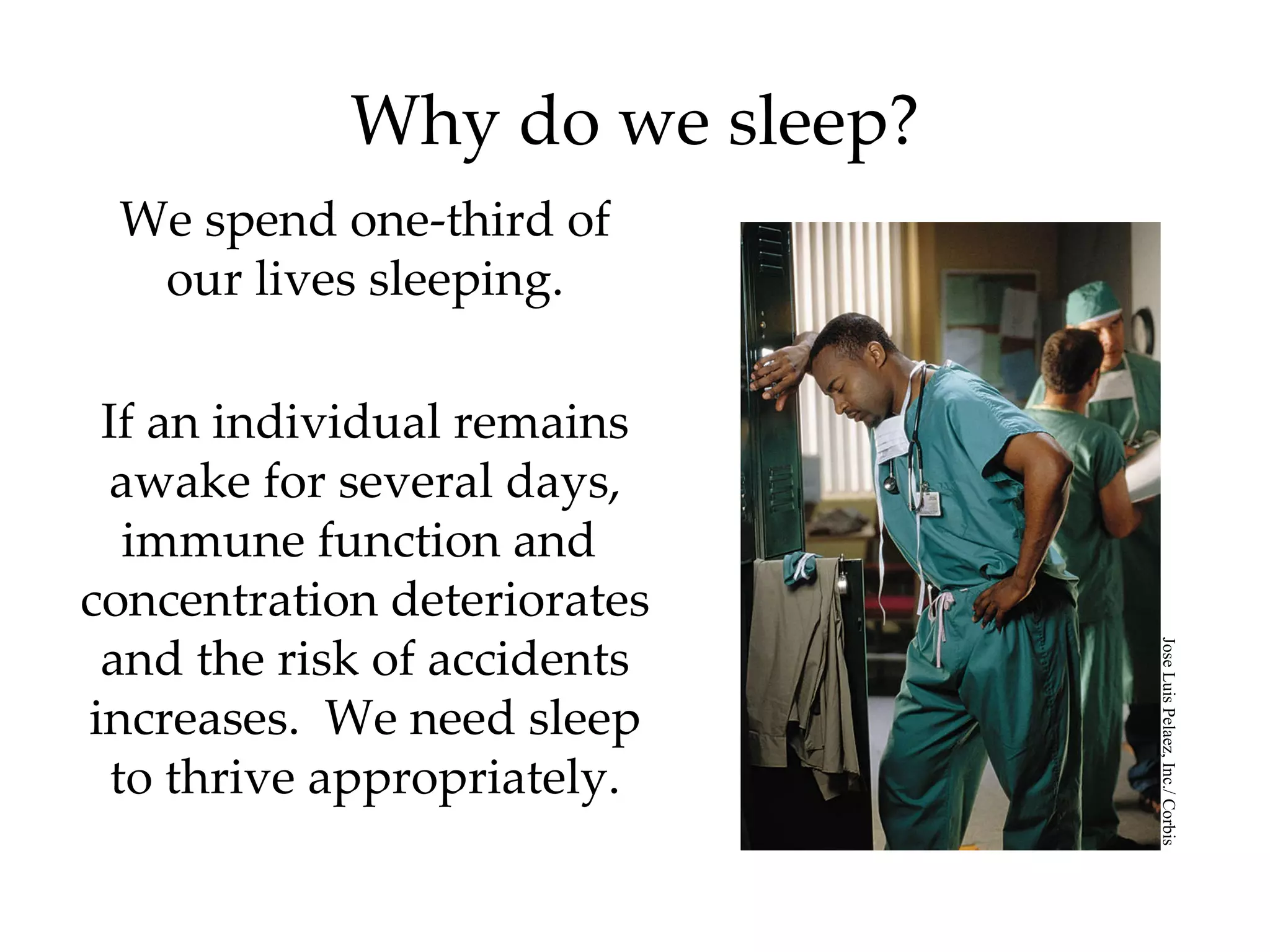 Why do we sleep? We spend one-third of our lives sleeping. If an individual remains awake for several days, immune function and  concentration deteriorates and the risk of accidents increases.  We need sleep to thrive appropriately. Jose Luis Pelaez, Inc./ Corbis 