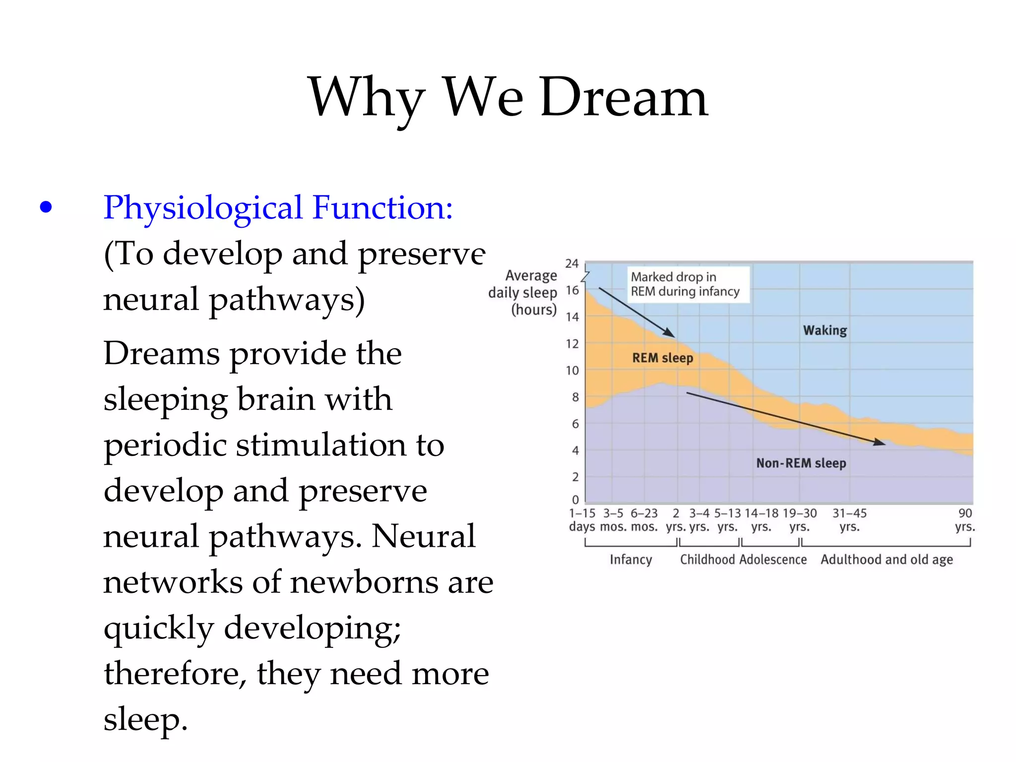 Why We Dream Physiological Function:  (To develop and preserve neural pathways)  Dreams provide the sleeping brain with periodic stimulation to develop and preserve neural pathways. Neural networks of newborns are quickly developing; therefore, they need more sleep. 